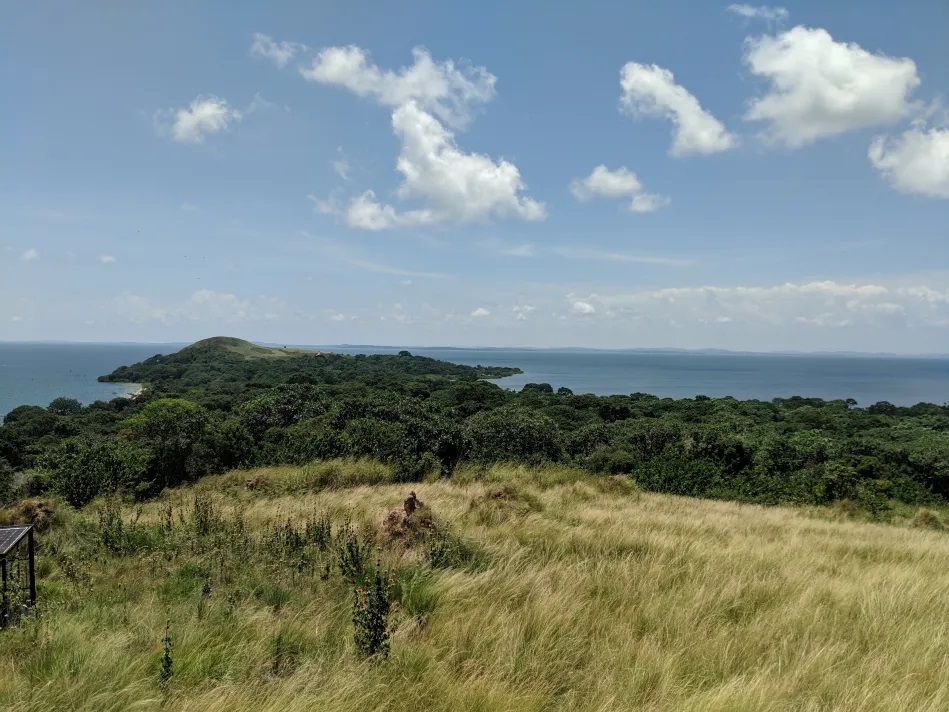 Pineapple Bay – Bulago Island