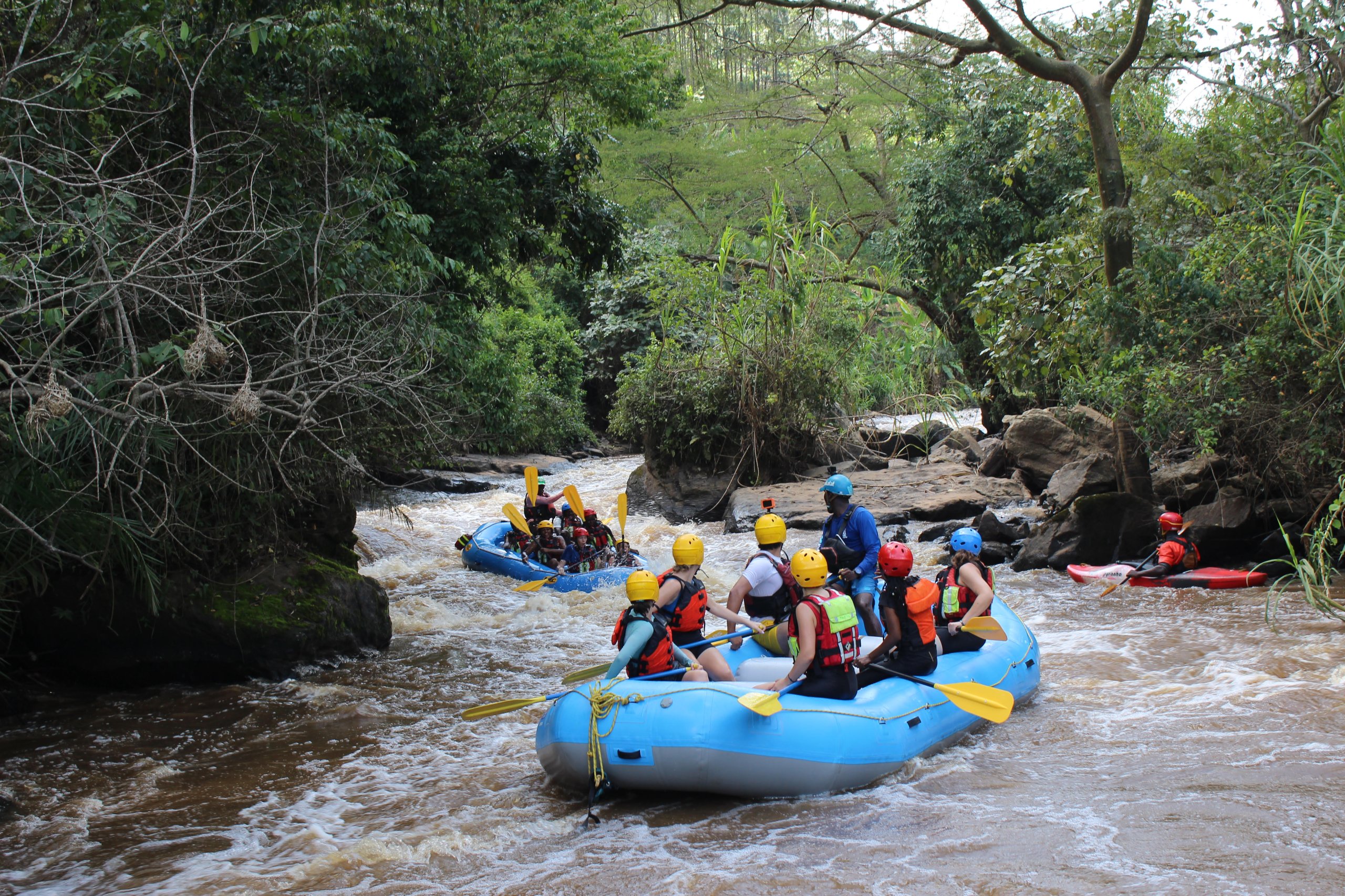 Gorilla, Rafting, Wildlife & Culture Combo