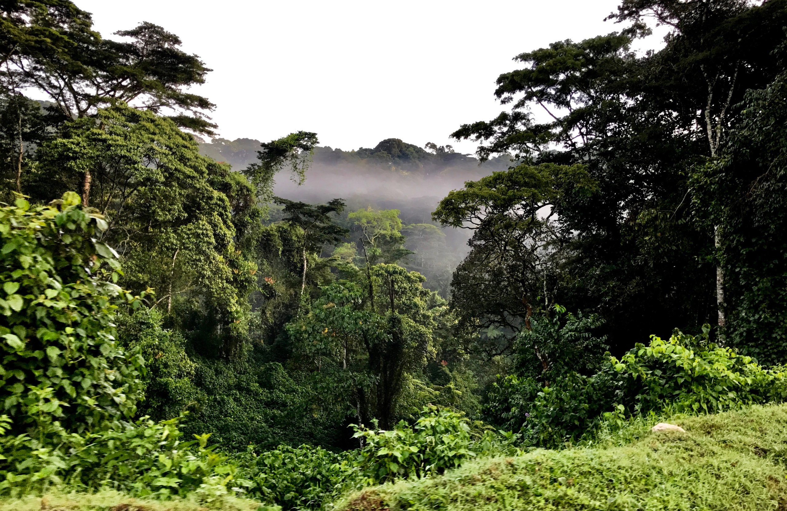 Mount Elgon Hiking Expedition