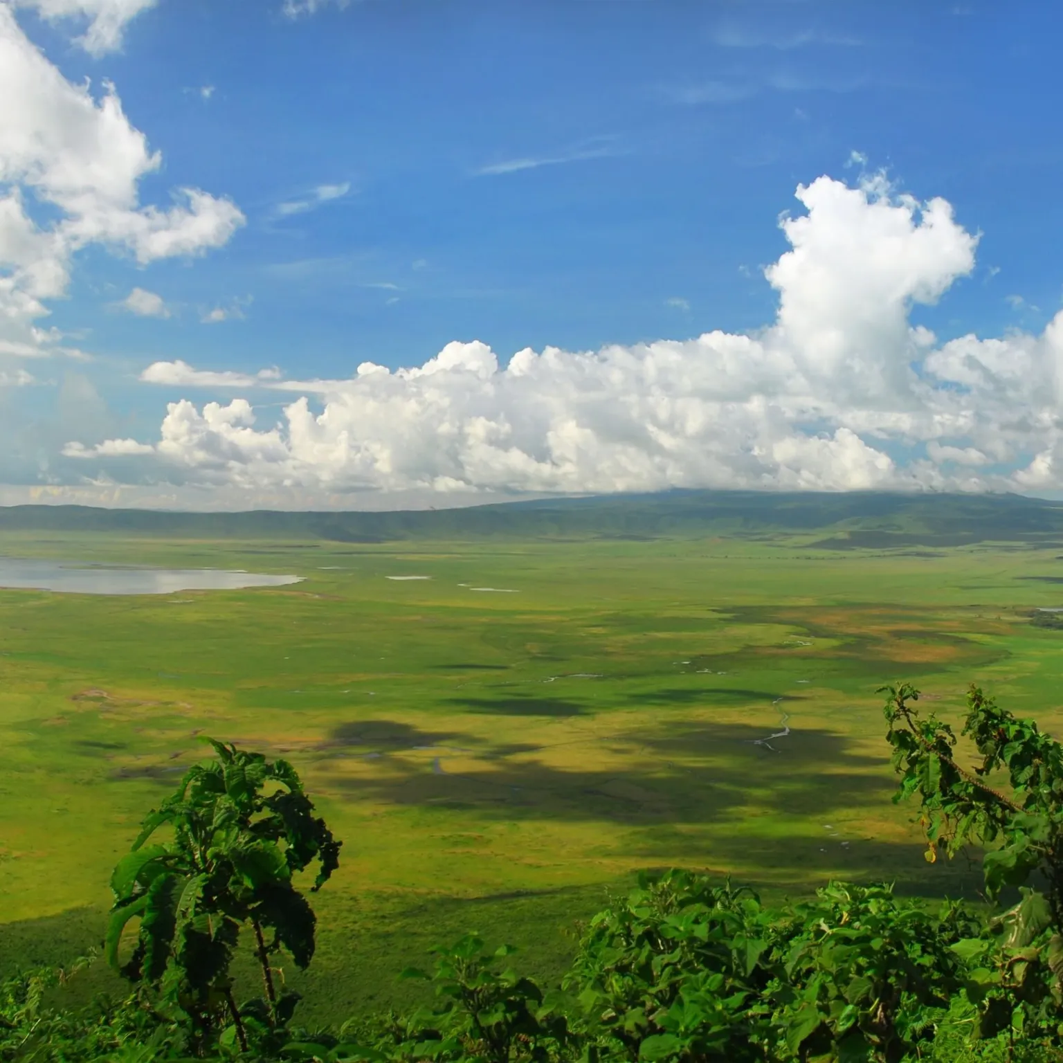Tanzania Express – Manyara, Serengeti & Ngorongoro