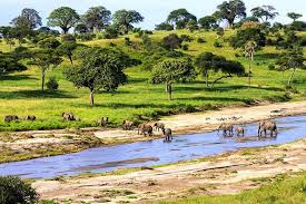 Tanzania Northern Circuit – Manyara, Serengeti & Ngorongoro
