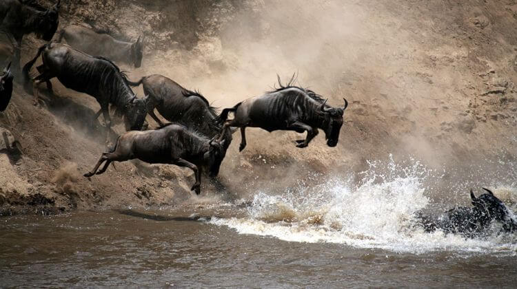 East Africa