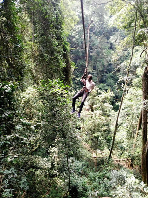 Ziplining at Griffin Falls – Mabira Forest